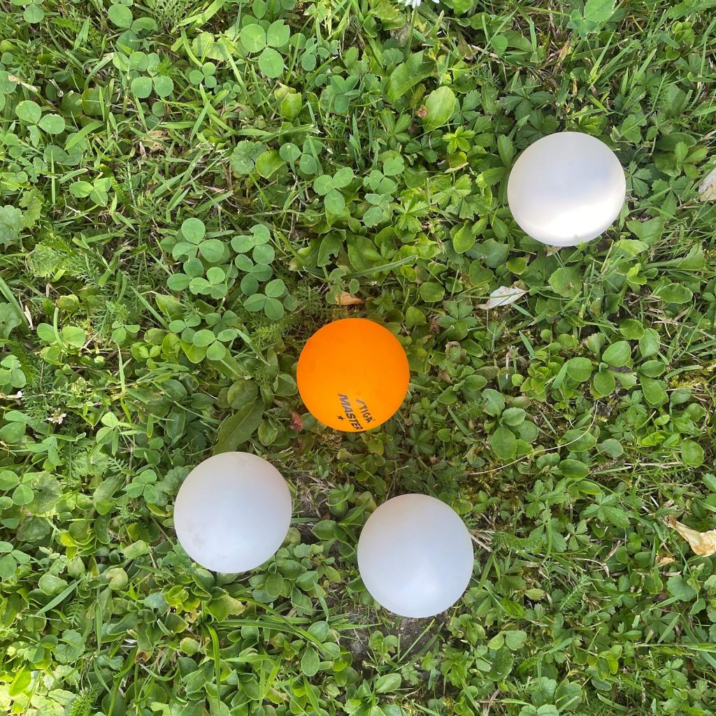 Ping Pong Bälle in der Wiese Workshop Salon Krenek